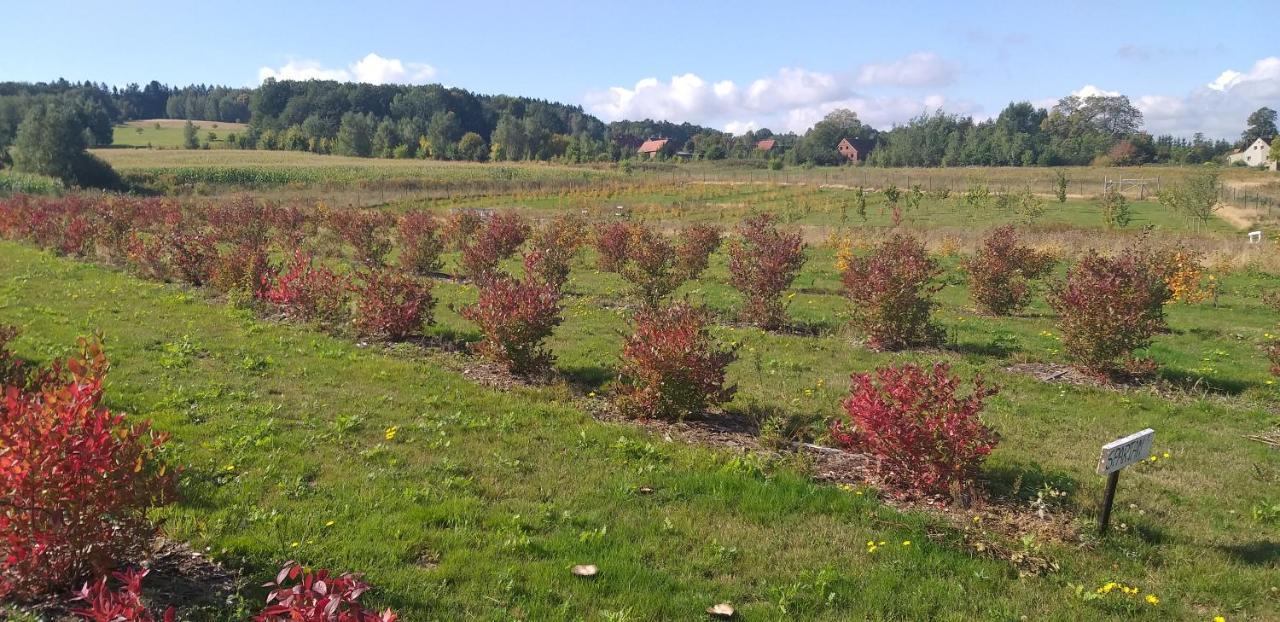 E Berry Farm - Slow Life Kaluzna Exterior foto